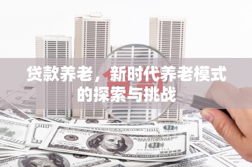 海端贷款养老，新时代养老模式的探索与挑战