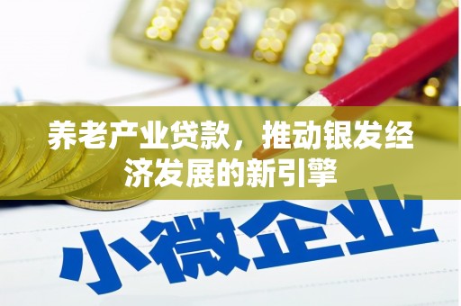 海端养老产业贷款，推动银发经济发展的新引擎