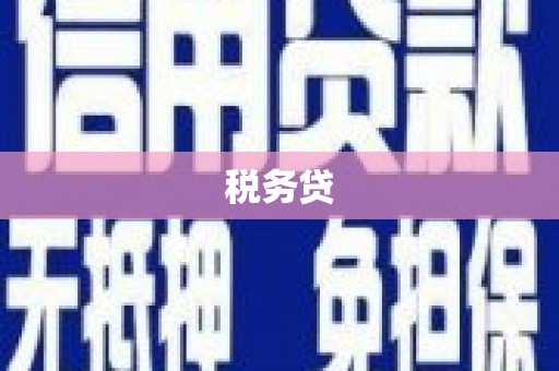 海端税务贷