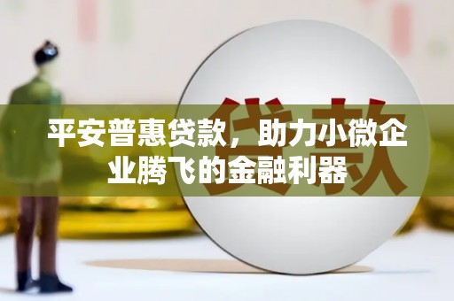 海端平安普惠贷款，助力小微企业腾飞的金融利器