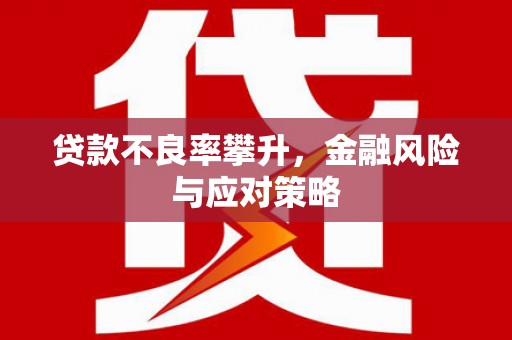海端贷款不良率攀升，金融风险与应对策略