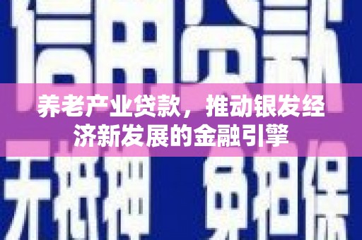 海端养老产业贷款，推动银发经济新发展的金融引擎