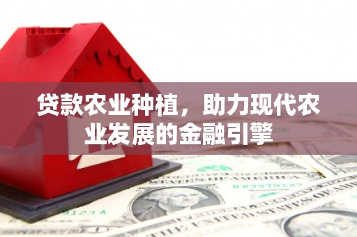 海端贷款农业种植，助力现代农业发展的金融引擎