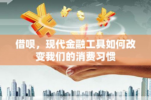 海端借呗，现代金融工具如何改变我们的消费习惯