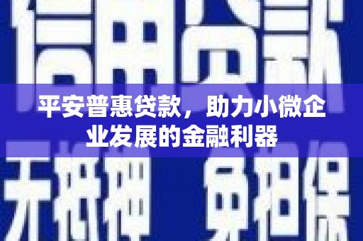 海端平安普惠贷款，助力小微企业发展的金融利器