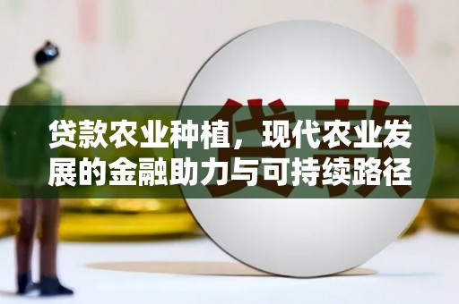 海端贷款农业种植，现代农业发展的金融助力与可持续路径