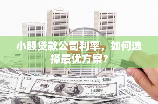 海端小额贷款公司利率，如何选择最优方案？