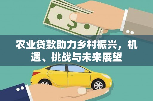 海端农业贷款助力乡村振兴，机遇、挑战与未来展望