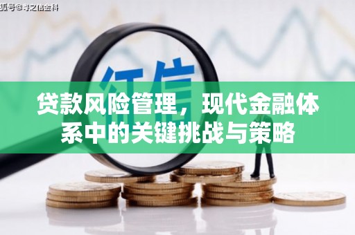 海端贷款风险管理，现代金融体系中的关键挑战与策略