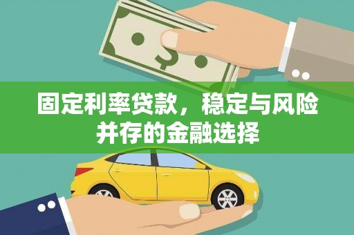 海端固定利率贷款，稳定与风险并存的金融选择