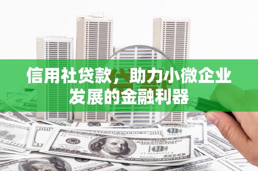 海端信用社贷款，助力小微企业发展的金融利器