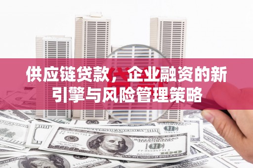 海端供应链贷款，企业融资的新引擎与风险管理策略
