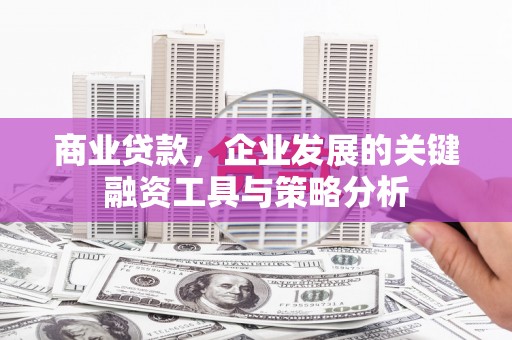 海端商业贷款，企业发展的关键融资工具与策略分析