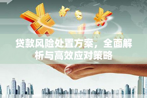 海端贷款风险处置方案，全面解析与高效应对策略