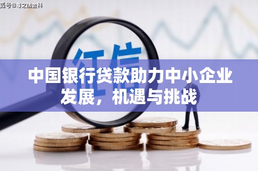 海端中国银行贷款助力中小企业发展，机遇与挑战