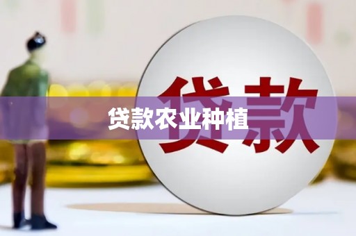 海端贷款农业种植