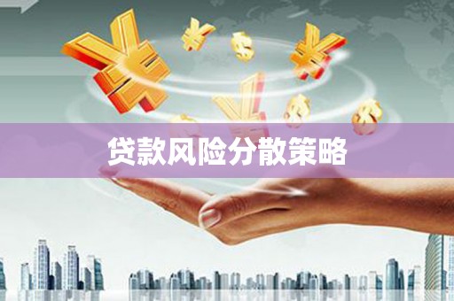 海端贷款风险分散策略