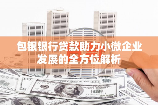 海端包银银行贷款助力小微企业发展的全方位解析