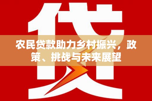 海端农民贷款助力乡村振兴，政策、挑战与未来展望