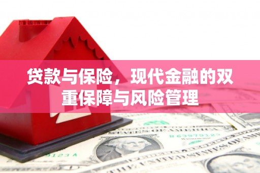 海端贷款与保险，现代金融的双重保障与风险管理