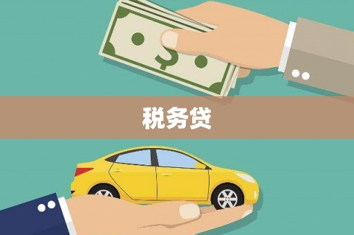 海端税务贷