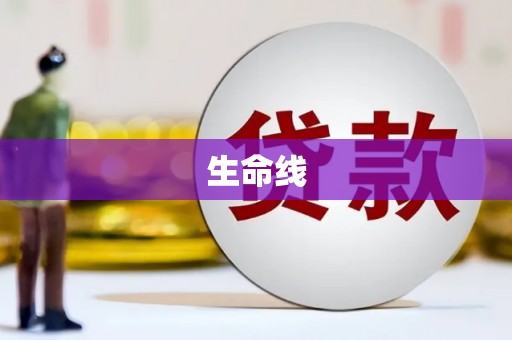 海端生命线