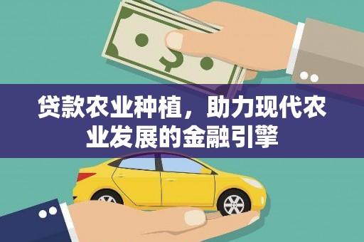 海端贷款农业种植，助力现代农业发展的金融引擎