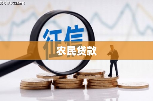 海端农民贷款