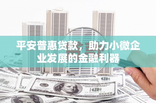 海端平安普惠贷款，助力小微企业发展的金融利器