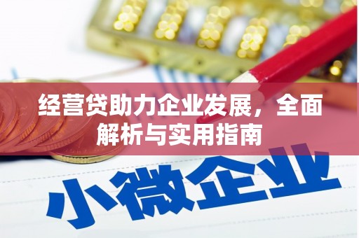 海端经营贷助力企业发展，全面解析与实用指南