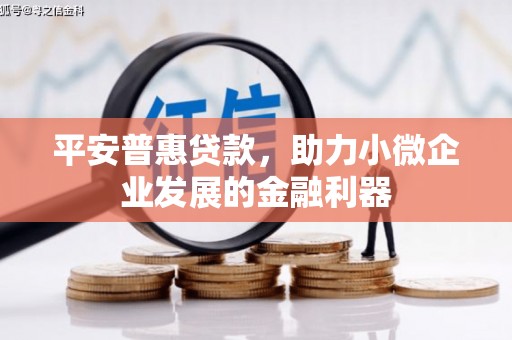 海端平安普惠贷款，助力小微企业发展的金融利器