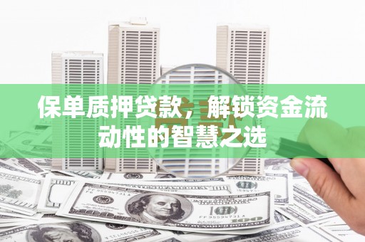 海端保单质押贷款，解锁资金流动性的智慧之选