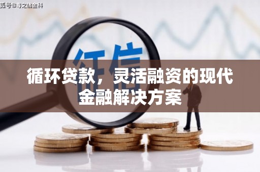 海端循环贷款，灵活融资的现代金融解决方案