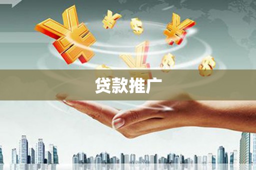 海端贷款推广