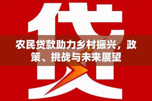 海端农民贷款助力乡村振兴，政策、挑战与未来展望