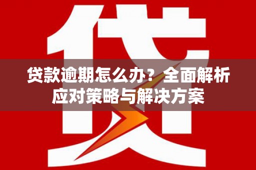 海端贷款逾期怎么办？全面解析应对策略与解决方案