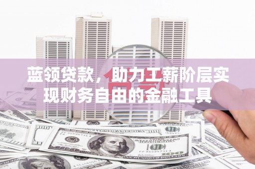 海端蓝领贷款，助力工薪阶层实现财务自由的金融工具