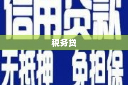 海端税务贷