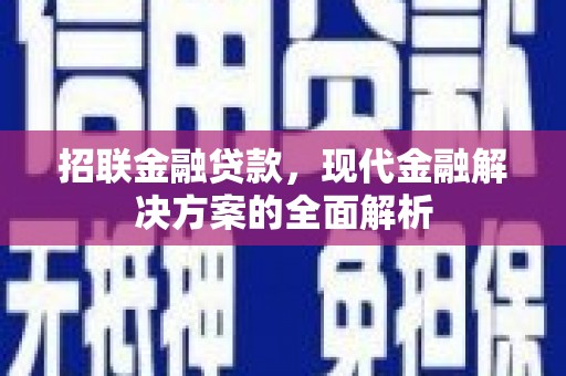 海端招联金融贷款，现代金融解决方案的全面解析