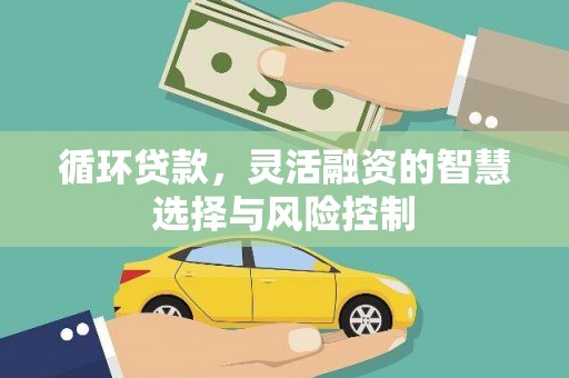 海端循环贷款，灵活融资的智慧选择与风险控制