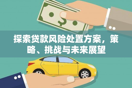 海端探索贷款风险处置方案，策略、挑战与未来展望