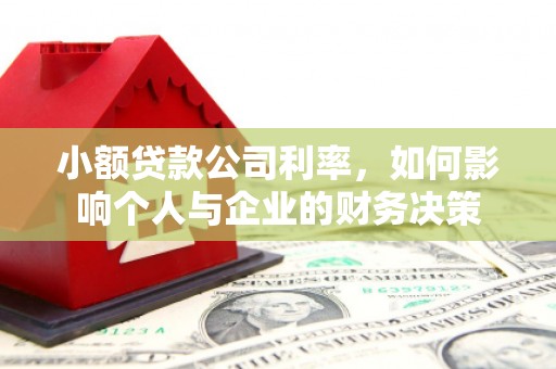 海端小额贷款公司利率，如何影响个人与企业的财务决策