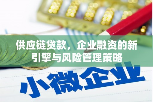 海端供应链贷款，企业融资的新引擎与风险管理策略