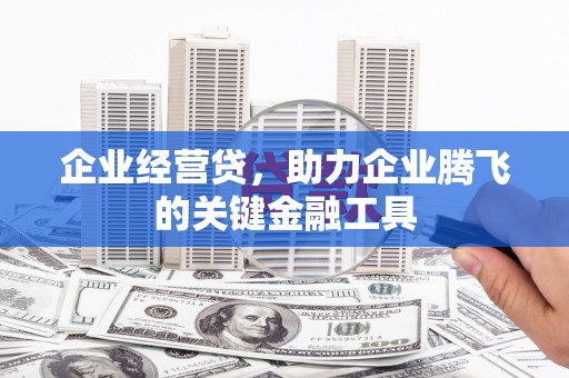 海端企业经营贷，助力企业腾飞的关键金融工具
