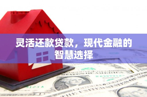 海端灵活还款贷款，现代金融的智慧选择