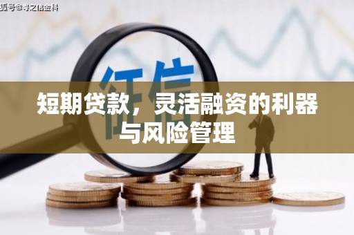 海端短期贷款，灵活融资的利器与风险管理