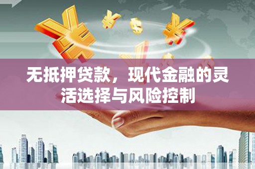 海端无抵押贷款，现代金融的灵活选择与风险控制