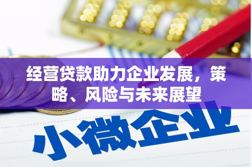 海端经营贷款助力企业发展，策略、风险与未来展望