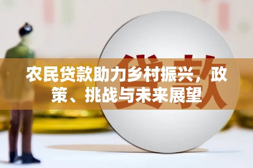 海端农民贷款助力乡村振兴，政策、挑战与未来展望