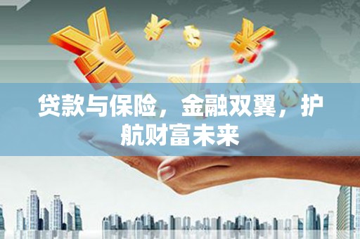 海端贷款与保险，金融双翼，护航财富未来